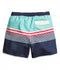 Ex H&M Striped Pattern Blue White Green Swimshorts Size S-XL